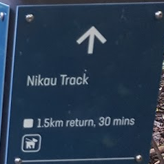 Nikau Track Logo