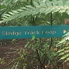 Sledge Track Logo