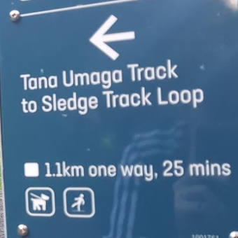 Tana Umaga Logo