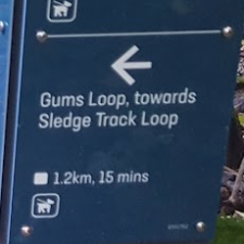 Gum loop logo